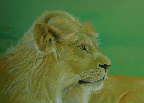 Lion Original