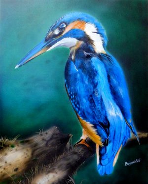 Kingfisher Original Painting